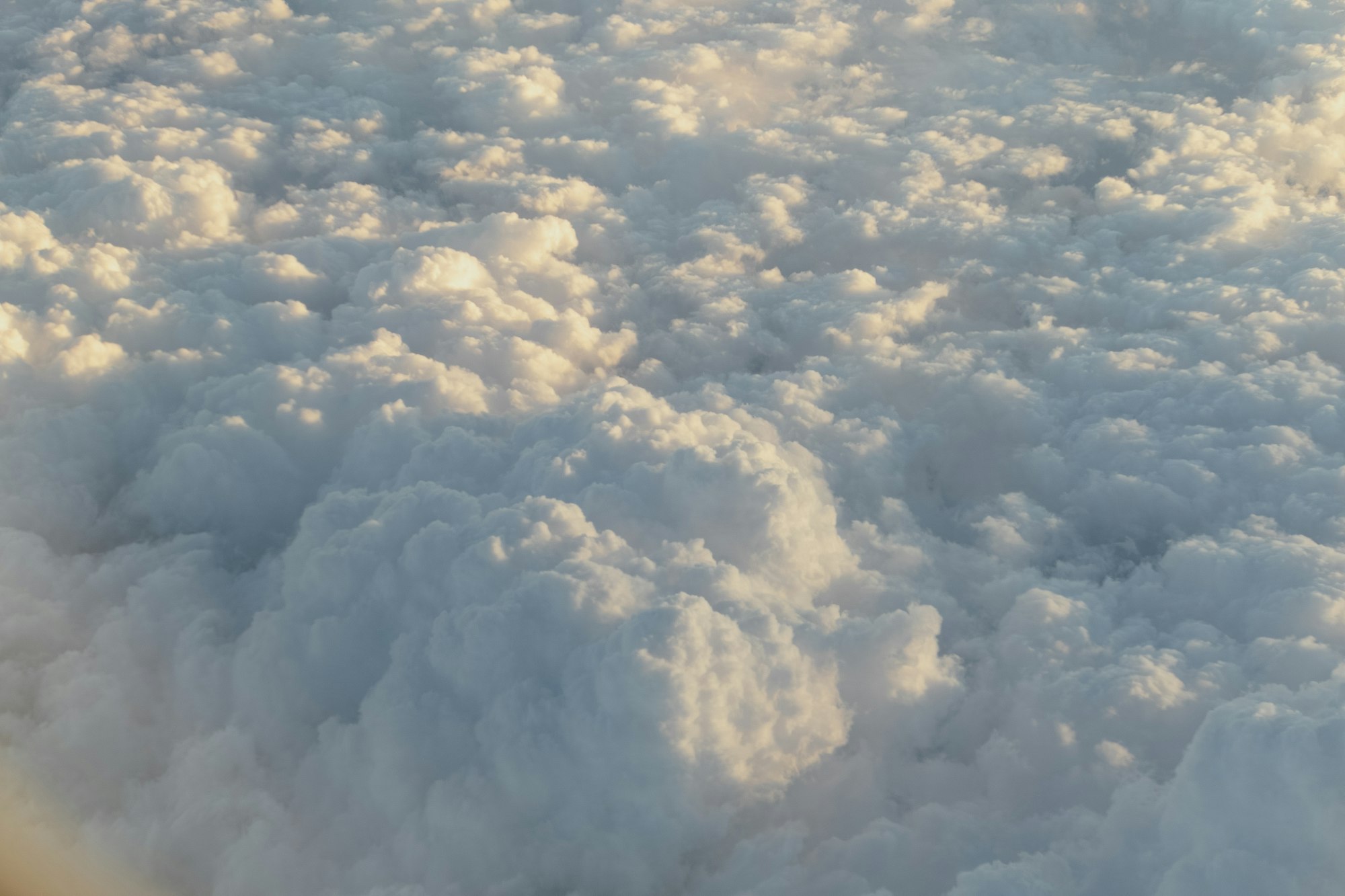 A soft, unbroken cloud deck seen from above, stretching to the horizon